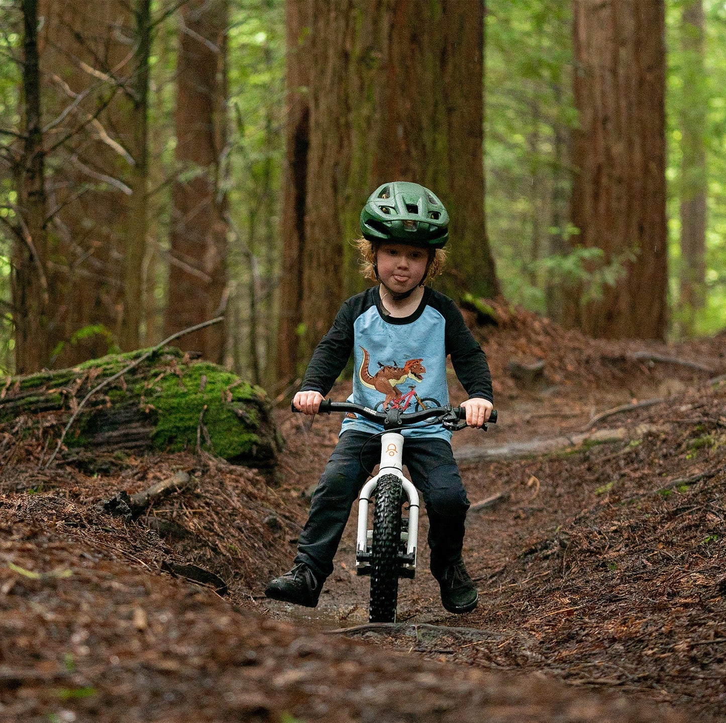 DIRT HERO OFF-ROAD BALANCE BIKE GENERATION 1